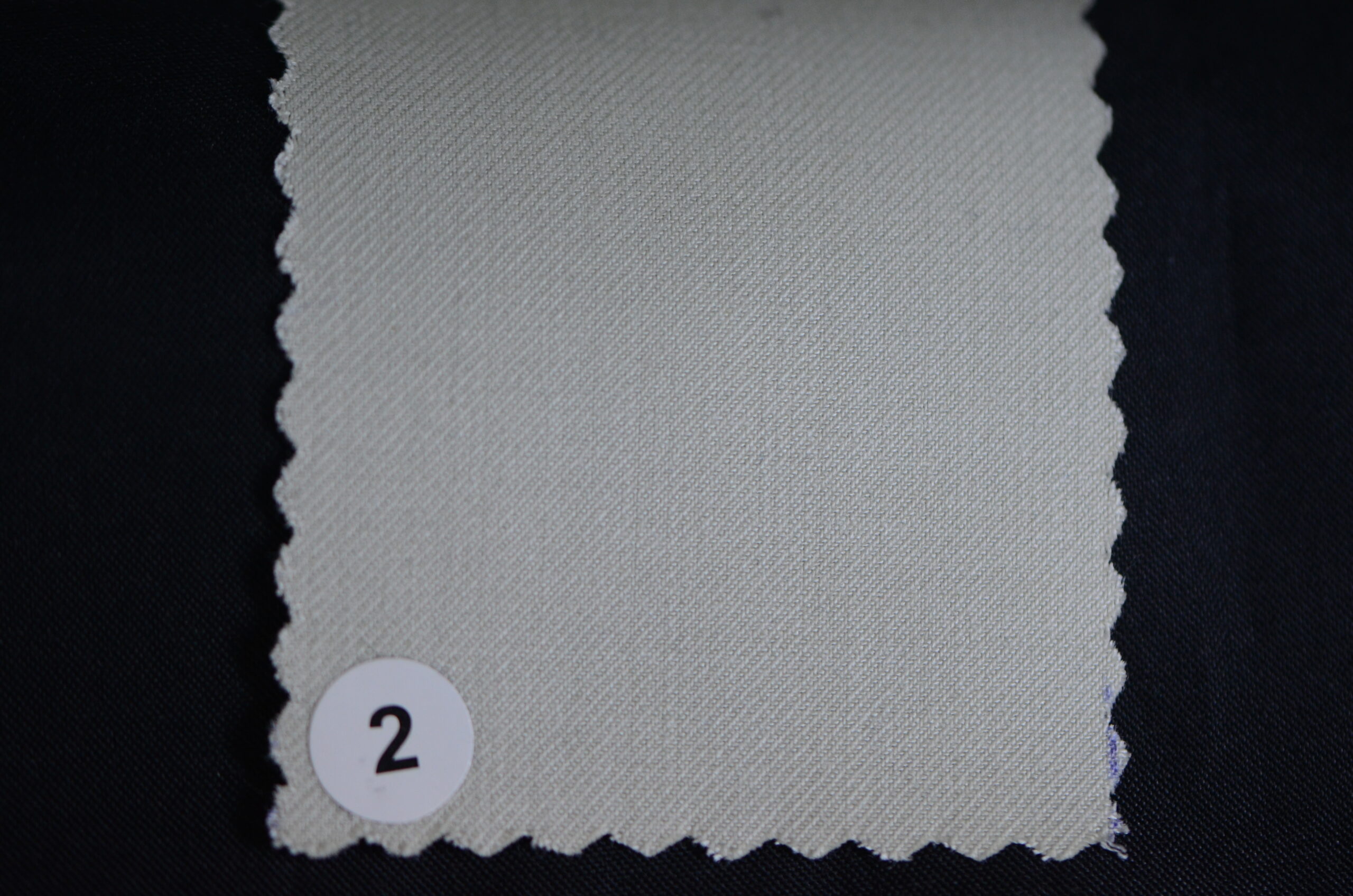 Augustus Imported Italian Fabric - ivory